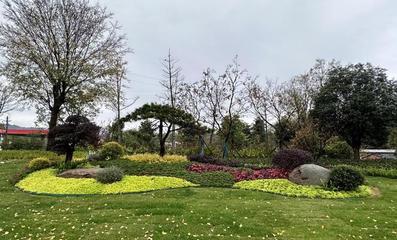 三季有花 四季常綠--新縣城管局全力推進"花園城市建設"