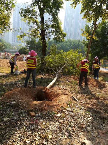 深圳市中景園園林綠化工程有限公司