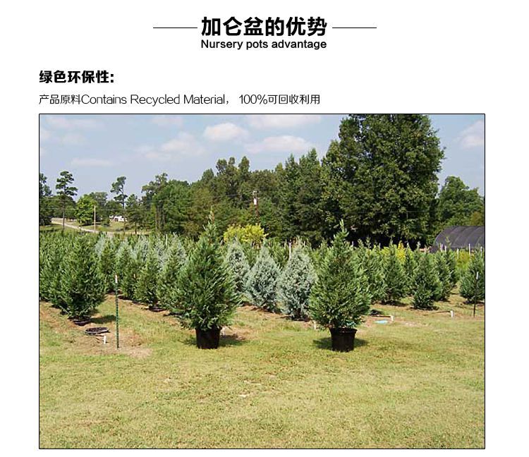 花圃苗圃生產綠化工程園林園藝育苗盆栽培盆注塑黑色花盆7加侖盆