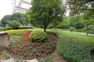 園藝栽培魚池水景噴泉,植物墻設計施工養護,綠植租擺花木租賃養護,園林綠化養護施工設計