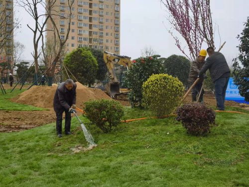 南陽市宛城區(qū)春季園林綠化提升工作成效明顯