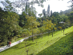 山東園林綠化公司/聊城園林綠化公司/山東苗木基地/聊城苗木基地-山東園林綠化,聊城園林綠化,聊城綠化工程-產(chǎn)品頻道-金泉網(wǎng)